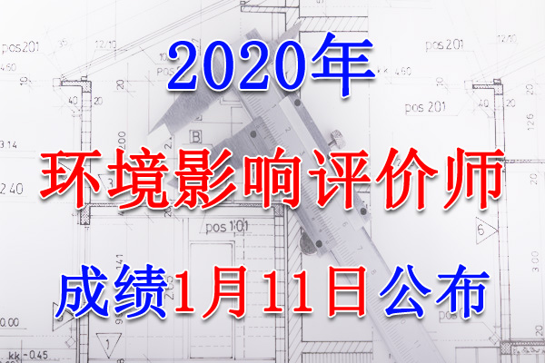 2020年江西环境影响评价师考试成绩查询查分入口【1月11日开通】