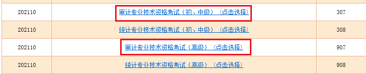 中国人事考试网：2021年四川审计师准考证打印入口已开通