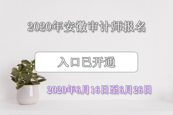 2020年安徽审计师报名入口已开通（6月16日至6月26日）