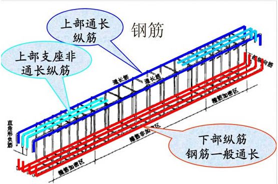 学预算先学钢筋，三维钢筋图解助你入门